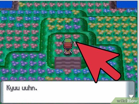 How to Get Shaymin in Pokemon Platinum With Action Replay 