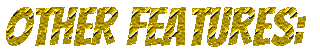 otherfeatures.gif