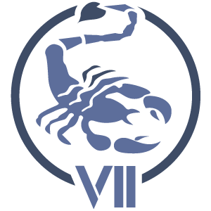 D7.png