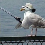 N1CK0