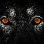 maxwolf24