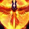 Phoenix123