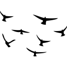 Krine
