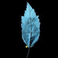 Specctre