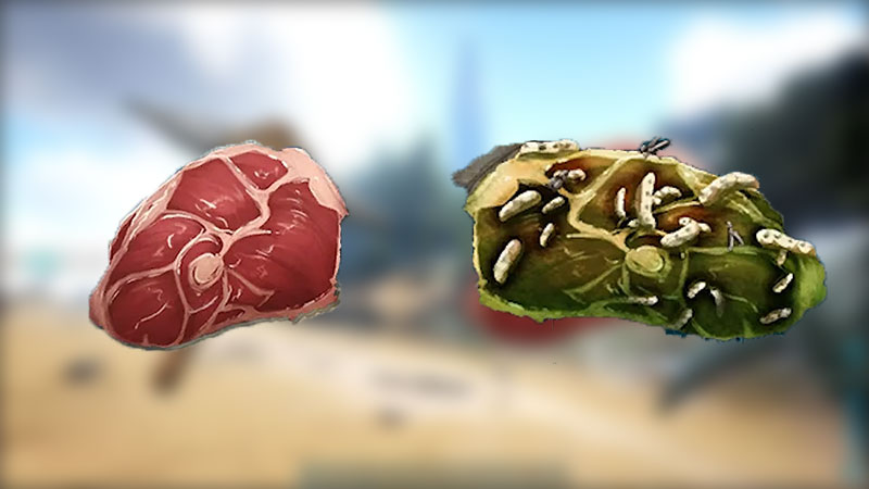 How to Make Meat Spoil Faster Ark 